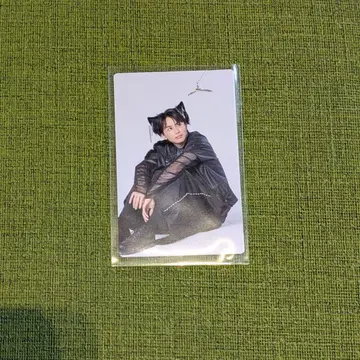 초특급 타쿠야 트레이딩 카드