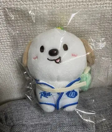 공식 RIIZE 앤톤 몽룡이 10cm 키링 RIIZE PARK
