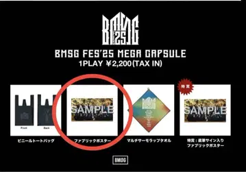 BMSG FES25 MEGA CUPSULE 패브릭 포스터