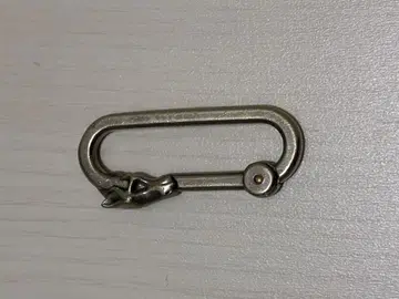 The Letters HORSE FACE CARABINER