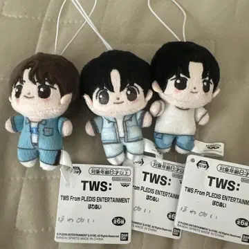 TWS 호와누이 한진 영재 신유