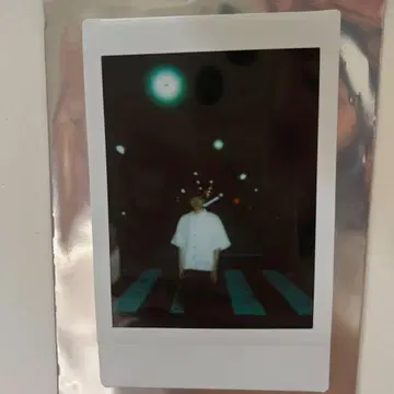 뇌수 랜덤 폴라로이드 벽