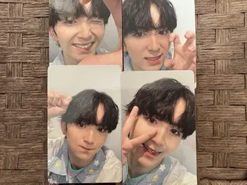 Lienel 타카오카 미로 트레이딩 카드 4장 세트