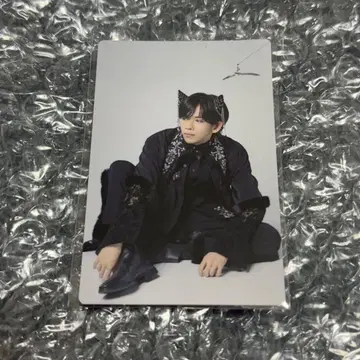초특급 CD NINE LIVES 료가반 트레이딩 카드 44