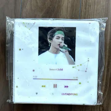 BTS 테테 태현 카드 홀더 바인더