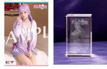 피오나 촬영 B2 태피스트리 3D 크리스탈