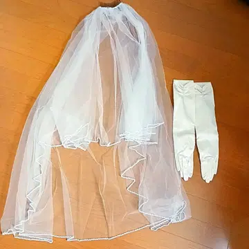 클라우디아 웨딩베일 커먼 패션그로브 세트