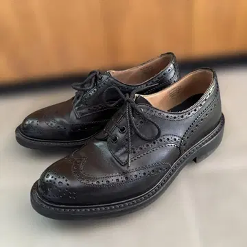 트리커스 버튼 ( Tricker's Bourton )