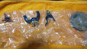 격분한 라잔 (대투기장 받침대) 초조형혼 몬스터 헌터 미개봉 새상품