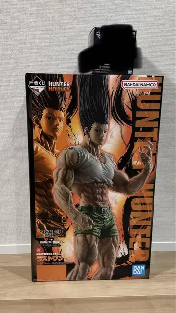 제일복권 HUNTER x HUNTER 곤 씨 라스트 원 헌터헌터