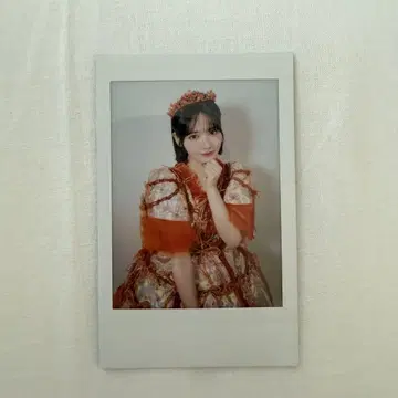 진제이 스즈카 대특전회 폴라로이드