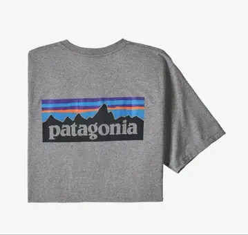 patagonia 그레이 T셔츠 산 디자인