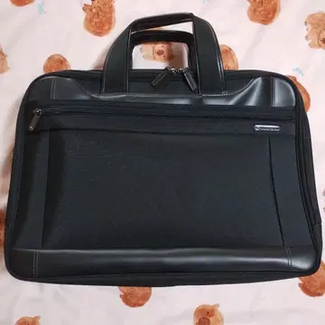Work Traveler ace 비즈니스 백 수험용