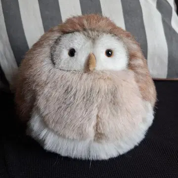 몽슈슈 루이즈 올빼미