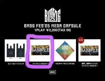 BMSG FES'25 MEGA CAPSULE [ 패브릭 포스터 ]