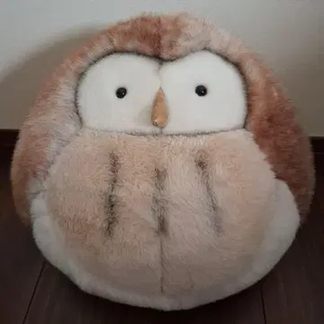 몽수이유 루이즈 올빼미