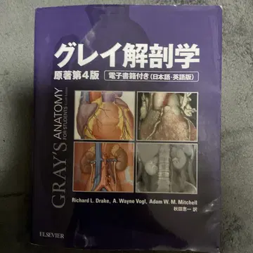 그레이 해부학 원서 제4판