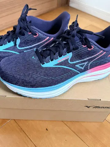 MIZUNO WAVE RIDER29 28.0cm