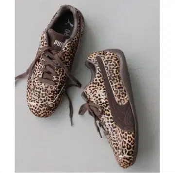 [ PUMA / 푸마 ] SPEEDCAT WILD WNS 23.5cm