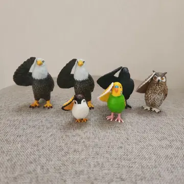 경례 새 컴프 세트