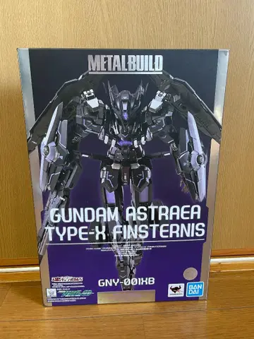 METAL BUILD 건담 아스트레아 Type-X 핀 스타니스