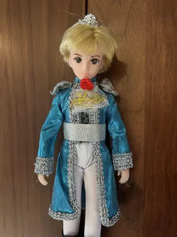 리카짱 왕자님 하루토군 보이프렌드