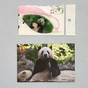 샹샹 잎맥 책갈피 엽서 우에노데팬더 중추절 대팬더전
