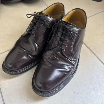 리걸 2504 유리 가죽 25cm