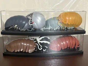 공벌레 케이스 포함