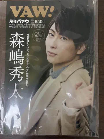 VAW! 모리시마 슈타 2015