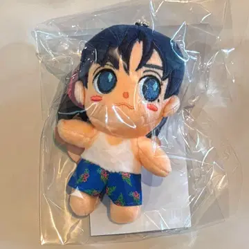 CNBLUE 용화 미니용 봉제 인형 솔로콘 2025
