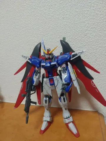 1/144 HG 건담 데스티니 완성품 상품 동시 300엔 할인