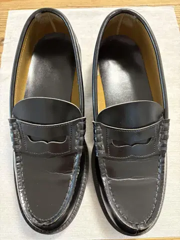 하루타 로퍼
