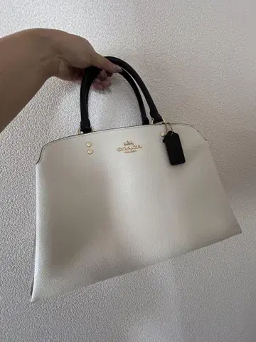 트라이앵글형 백 블랙과 화이트