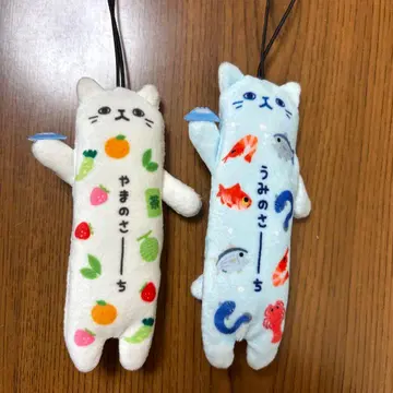 노비네코 시즈오카 바다 서치 산 서치 2세트