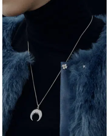 AMERI UND LUNA PLUMP NECKLACE 실버F