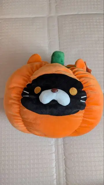 잠자는 고양이 서밋 쿠션