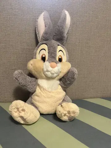 Disney에서 구매한 토끼 봉제 인형