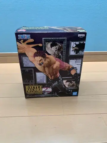 샬롯 카타쿠리 BATTLE RECORD COLLECTION
