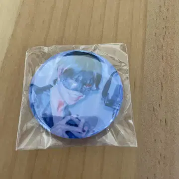 초학생 캔 배지