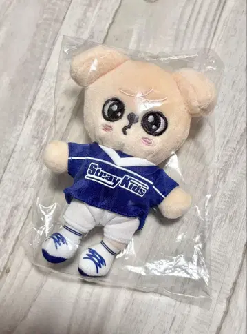 straykids SKZOO 퍼핌 백참