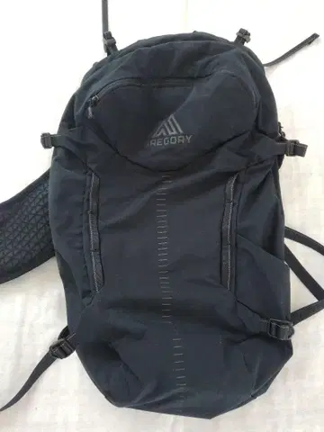 GREGORY 그레고리 백팩 레이븐