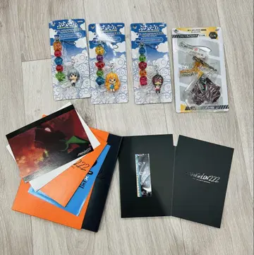 에반게리온 신극장판 파 초회 생산 혜택 필름 굿즈 세트