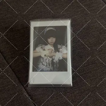 큐루링 해봐 타마키야네 폴라로이드 큐루시테
