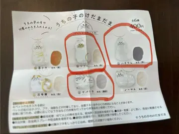 우리 아이 털뭉치 털뭉치 샴 사바트라 하치와레 세트