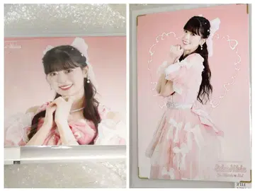 9까지 2장 세트 프리미엄 사진 사카이 히토카 초도키메키 선전부