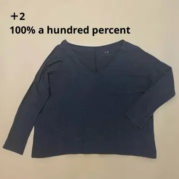 +2 100% a hundred percent V넥 상의