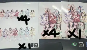 FRUITSZIPPER 생사진 멤버 전원 21장 세트