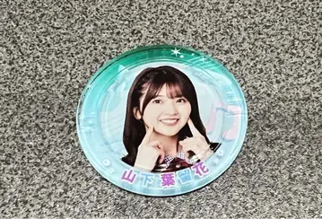 히나파레 럭키 코인 야마시타 하루카