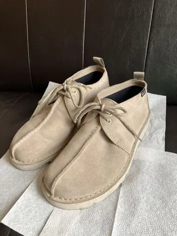 Clarks_Desert TrekGTX